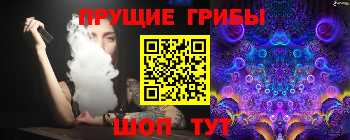 купить   Балабаново  Псилоцибиновые грибы мицелий 